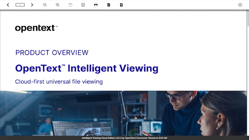 Providing an Accessible Viewing Experience
